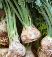 Celer (kg)