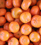 Mandarinky (kg)